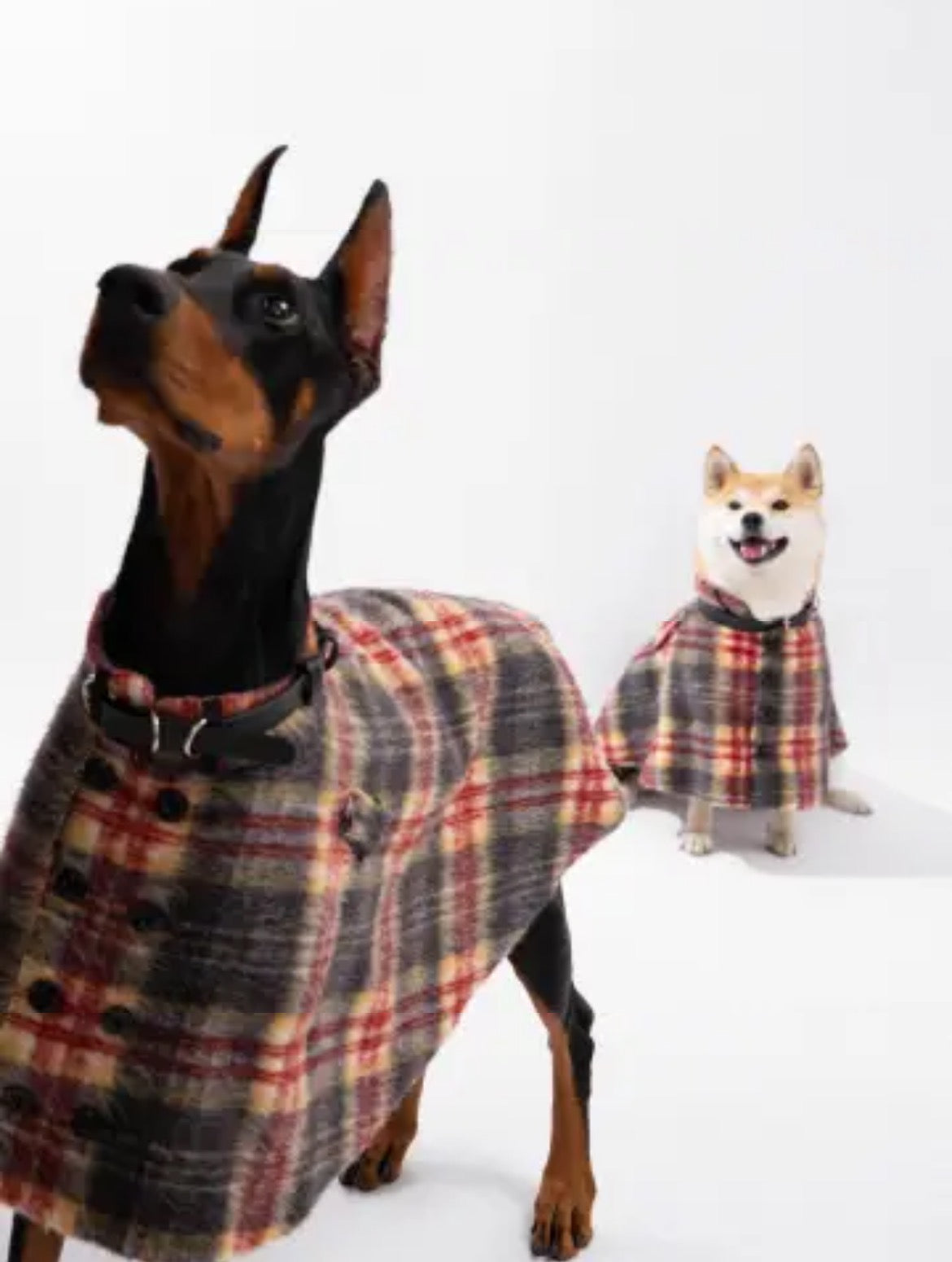 PawsCube high-end pet cape | 30% wool to keep warm without irritating the skin, British plaid pattern for all seasons, perfect for cats and dogs New Year party